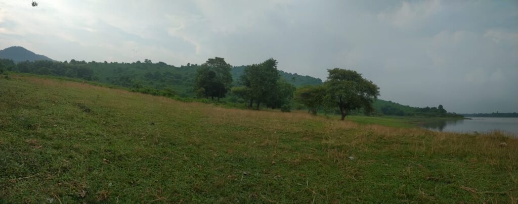 best picnic spot