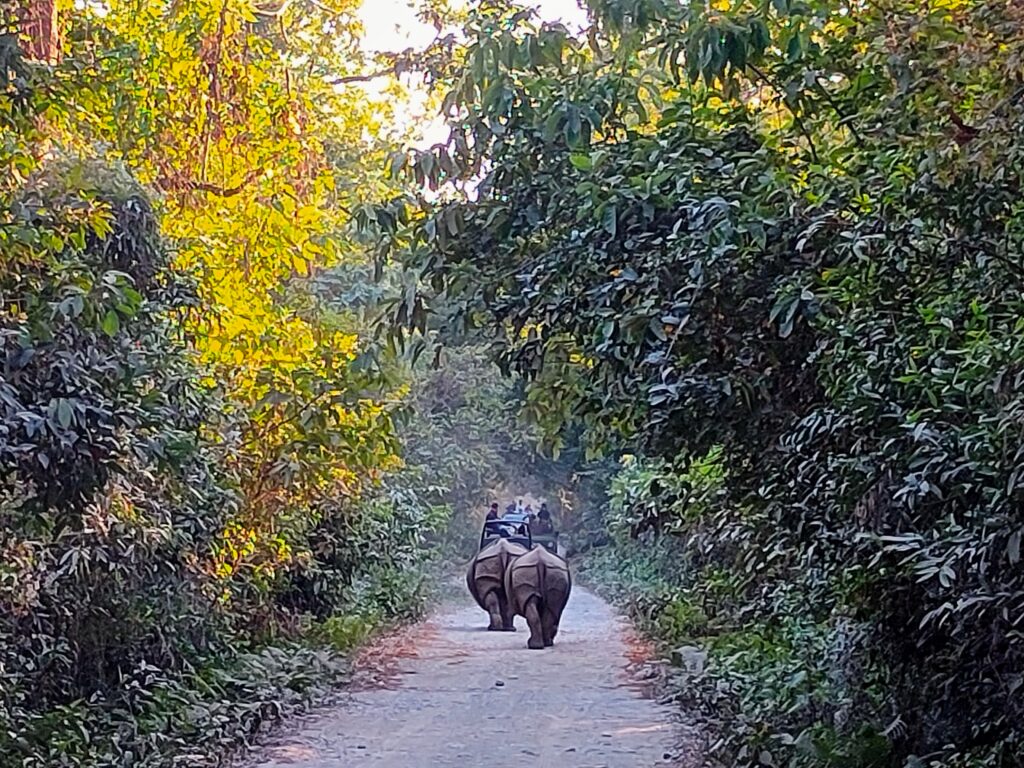 unesco world heritage site india