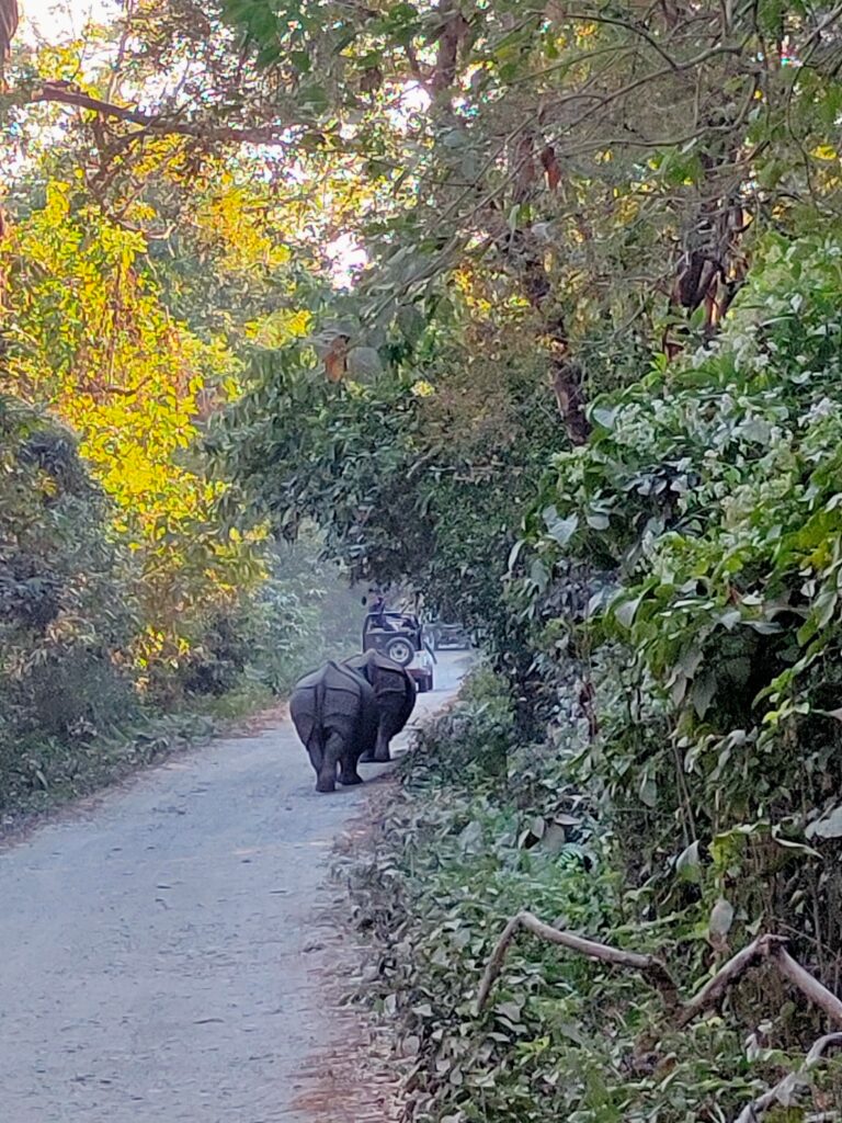 unesco world heritage site india