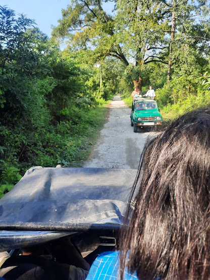 Manas National Park