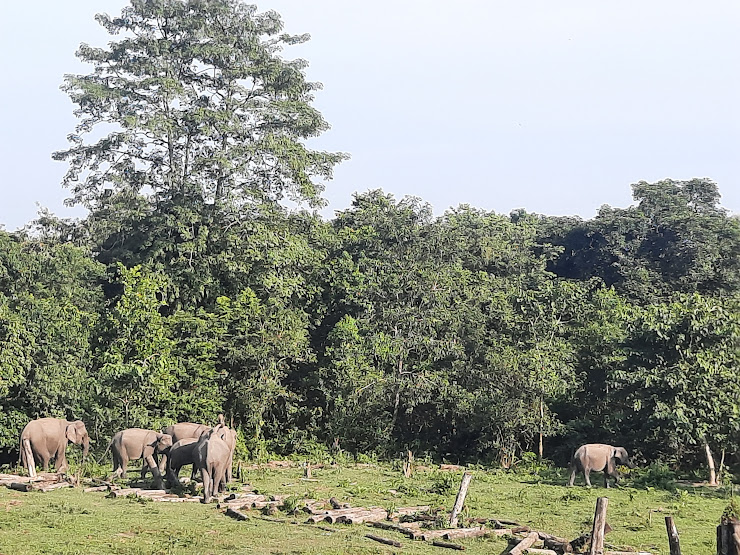 Manas National Park